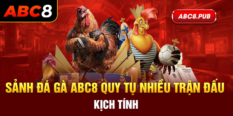 Sảnh đá gà ABC8 quy tụ nhiều trận đấu kịch tính